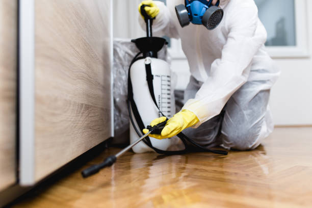 Best Residential Pest Control  in West Long Branch, NJ