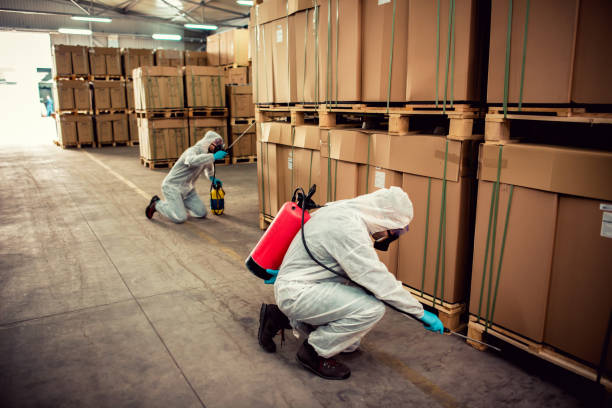 Best Affordable Pest Control Services  in West Long Branch, NJ