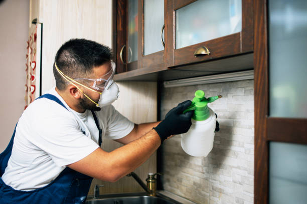 Best Affordable Pest Control Services  in West Long Branch, NJ