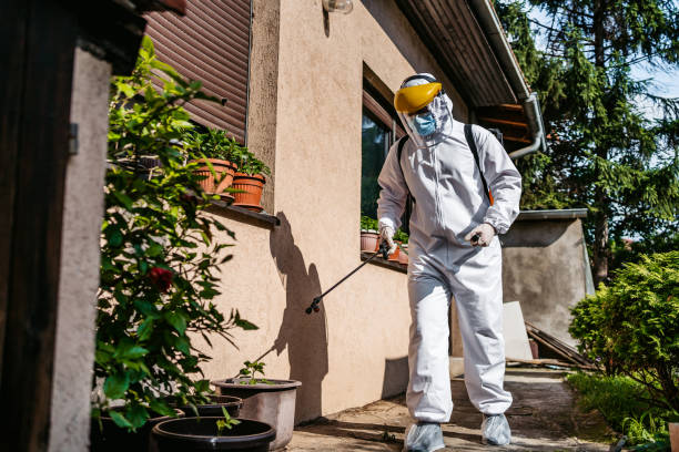 Best Flea Control Services  in West Long Branch, NJ