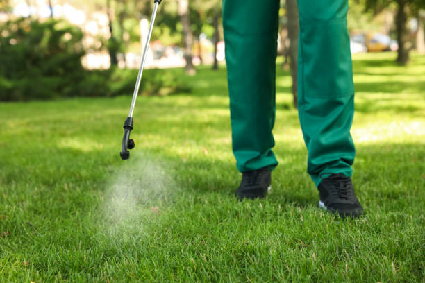 Best Residential Pest Control  in West Long Branch, NJ