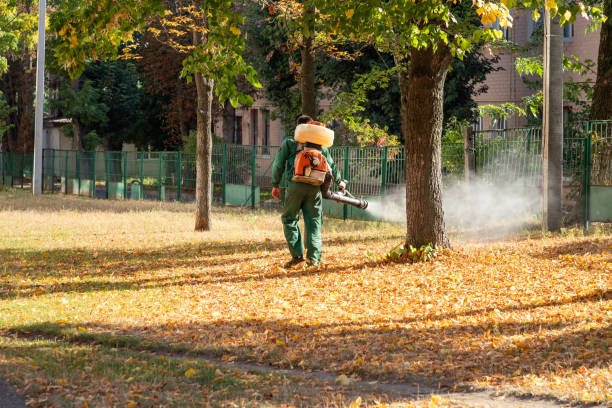 Best Rat Extermination Near Me  in West Long Branch, NJ