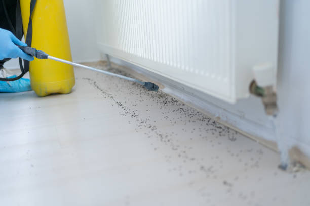 Pest Prevention Services in West Long Branch, NJ